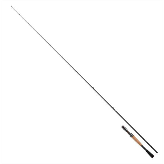 DAIWA 2026 STEEZ JDM CASTING ROD