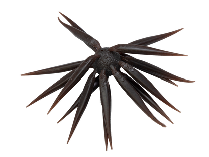 HIDEUP COIKE FISH Elastomer  M SIZE