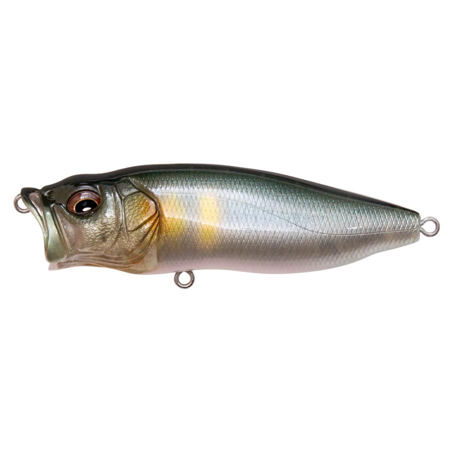 MEGABASS Popmax