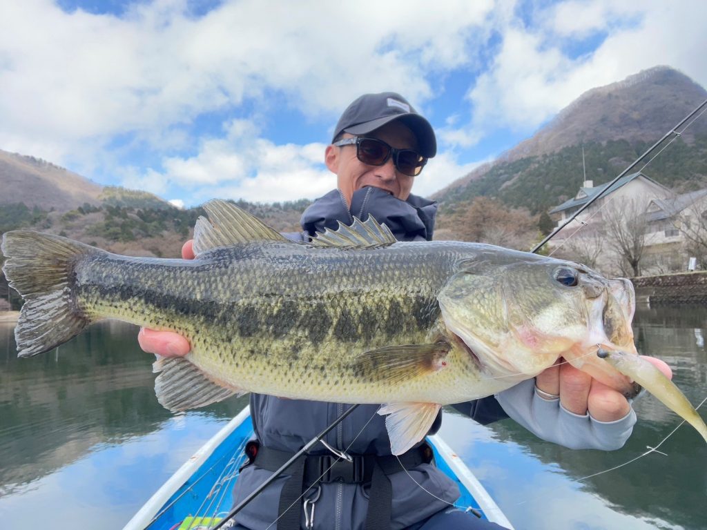 ENGINE Like Five Minnow Elastomer