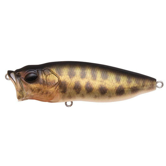 MEGABASS Popmax