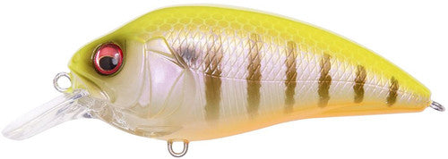 MEGABASS SUPER-Z Z1