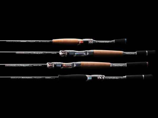 DAIWA 2026 STEEZ (JDM) SPINNING ROD