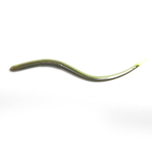 ROBOWORM Straight Tail Worm