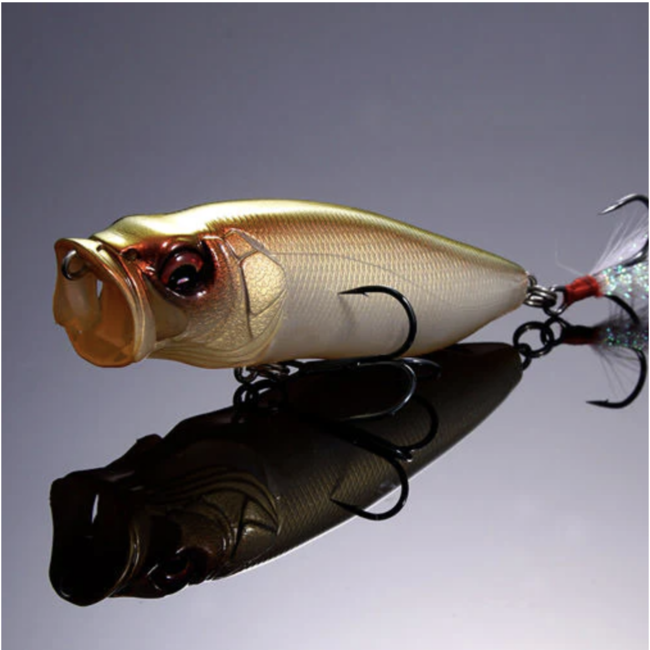 MEGABASS Popmax