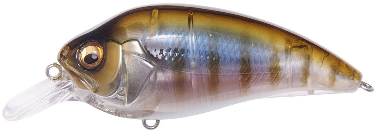 MEGABASS SUPER-Z Z1