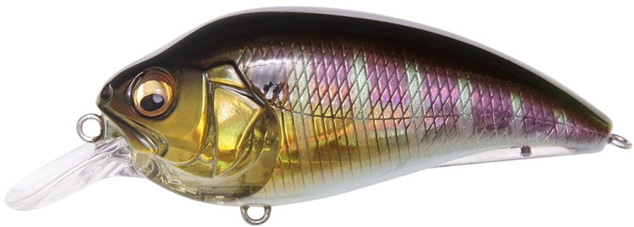 MEGABASS SUPER-Z Z1