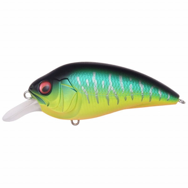 MEGABASS SUPER-Z Z1