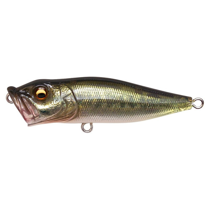 MEGABASS POP-X