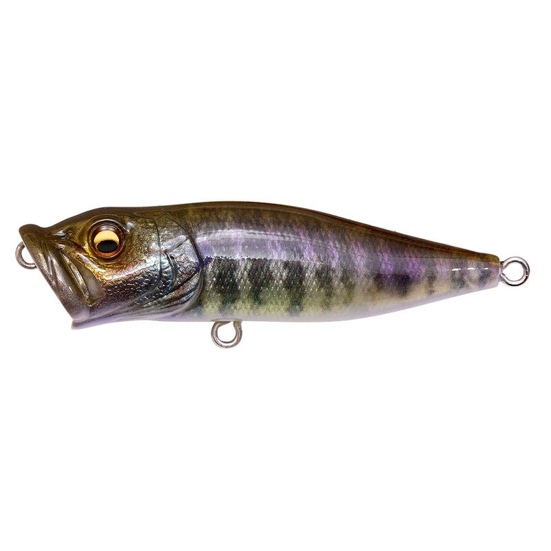MEGABASS POP-X