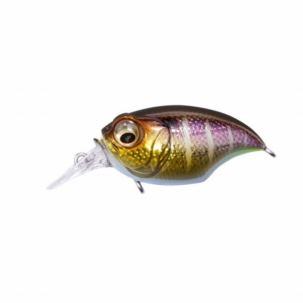 MEGABASS SR-X Griffon