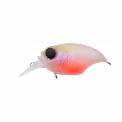 MEGABASS SR-X Griffon