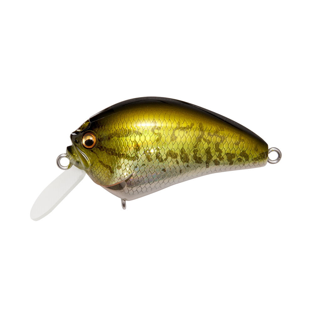 MEGABASS IXI Blowly