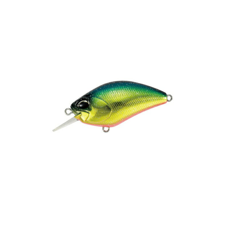 DUO REALIS CRANK 55SR