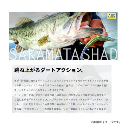 DEPS SAKAMATASHAD