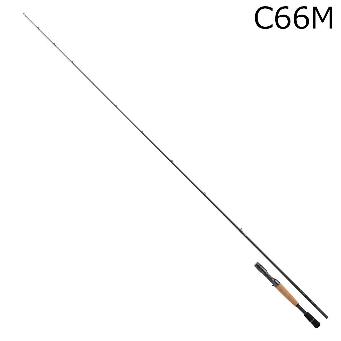 DAIWA 2026 STEEZ JDM CASTING ROD