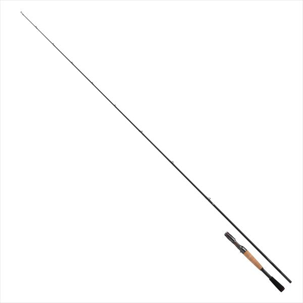DAIWA 2026 STEEZ JDM CASTING ROD