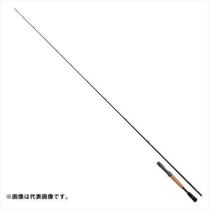 DAIWA 2026 STEEZ JDM CASTING ROD