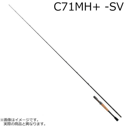 DAIWA 2026 STEEZ JDM CASTING ROD