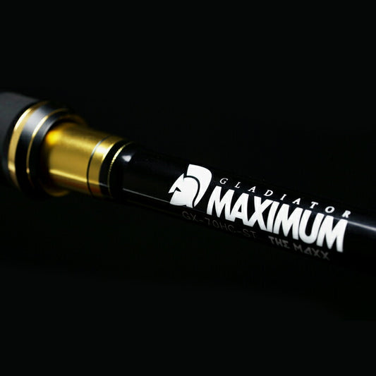 Raid Gladiator Maximum CASTING ROD