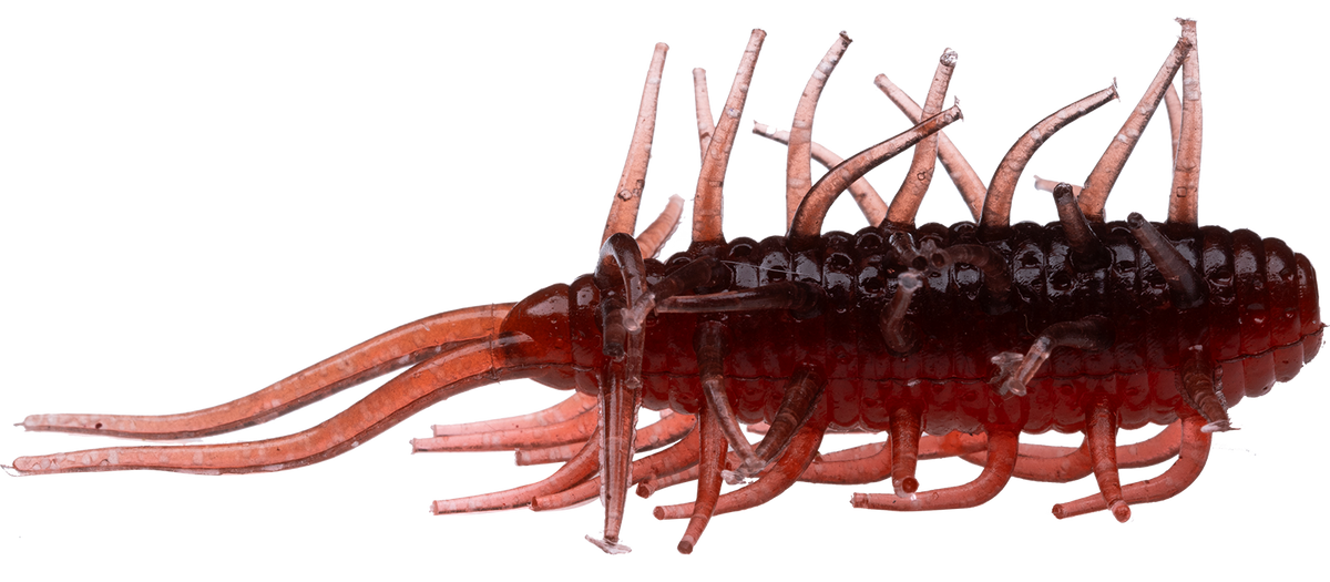 HIDEUP Coike Shrimp 65mm (NEW)