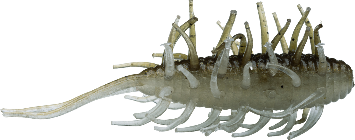HIDEUP Coike Shrimp 65mm (NEW)
