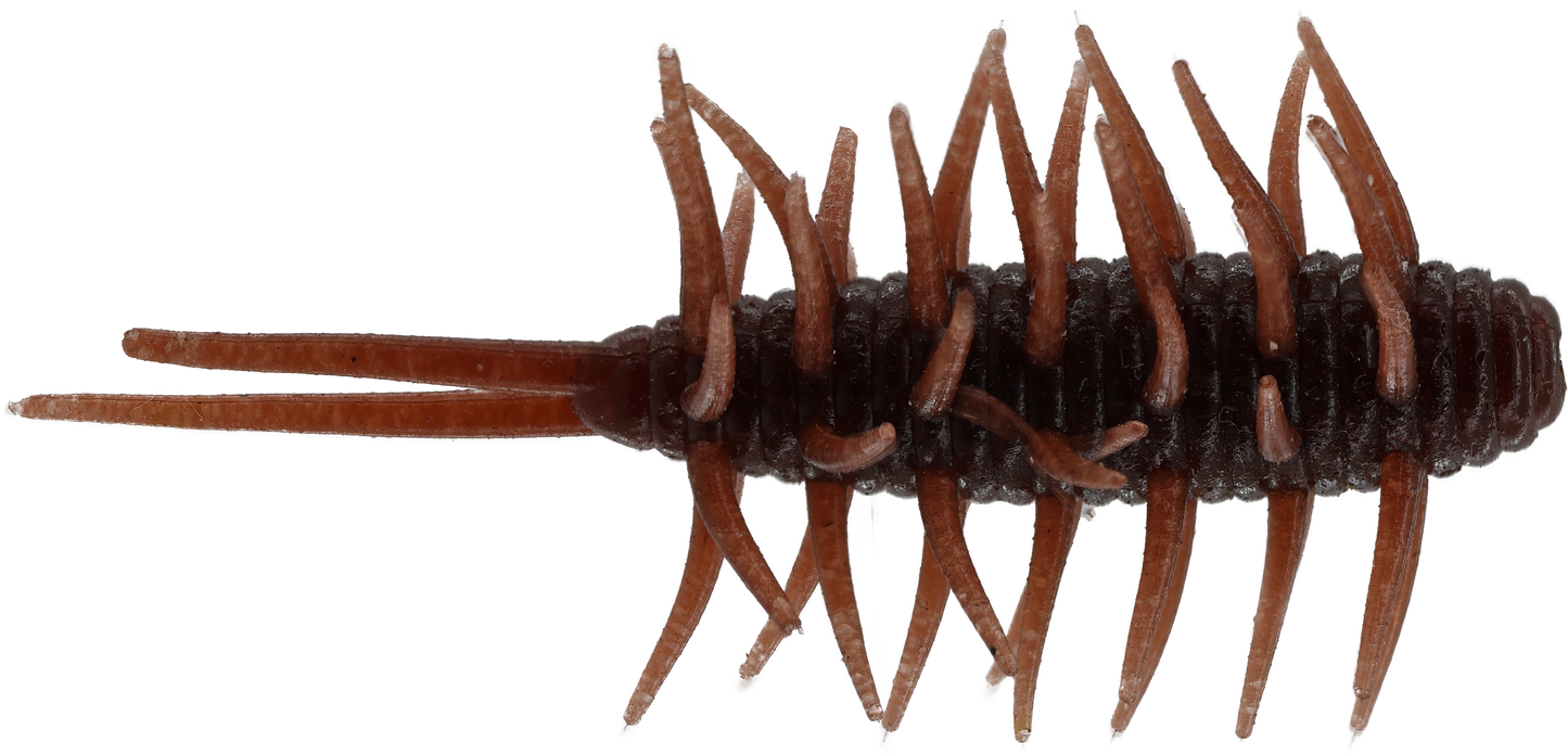 HIDEUP Coike Shrimp Creature Bait Medium 80mm