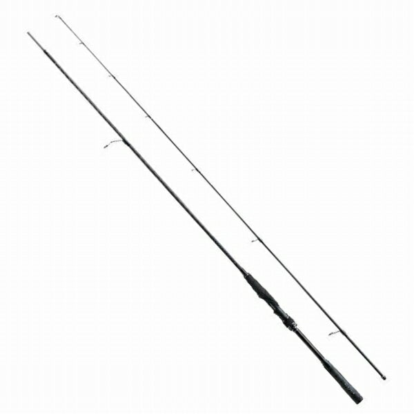 Exsence zoom SPINNING ROD