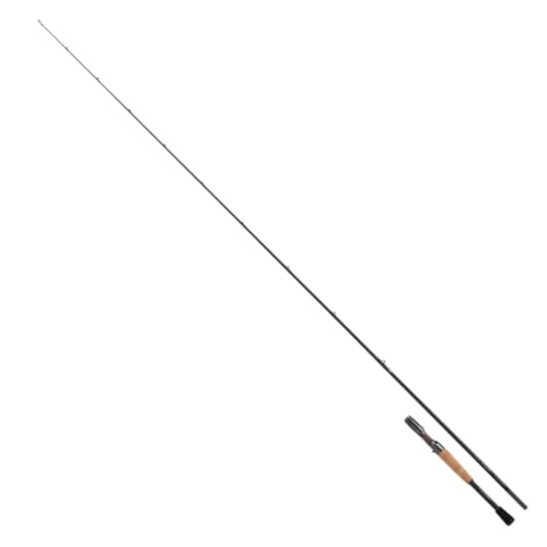 DAIWA 2026 STEEZ JDM CASTING ROD