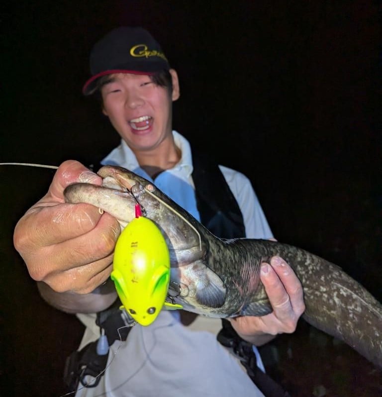 ATTIC Hamster CRANKBAIT BIG