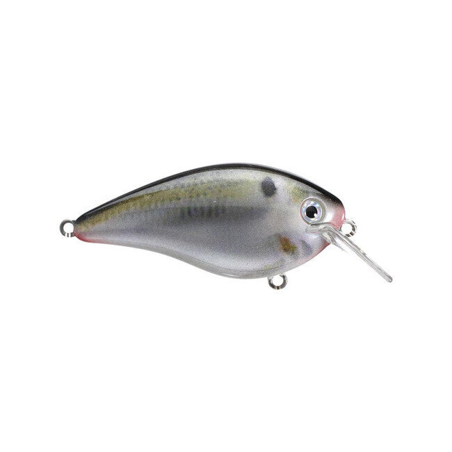 STRIKE KING  KVD 1.5 Square Bill