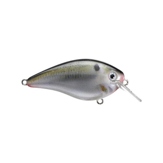 STRIKE KING  KVD 1.5 Square Bill