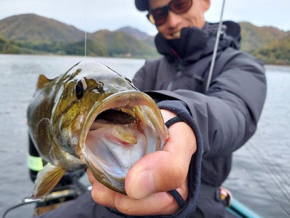 ENGINE Ride 3in Minnow Paddle Tail