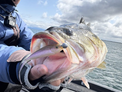 ENGINE Like Five Minnow Elastomer