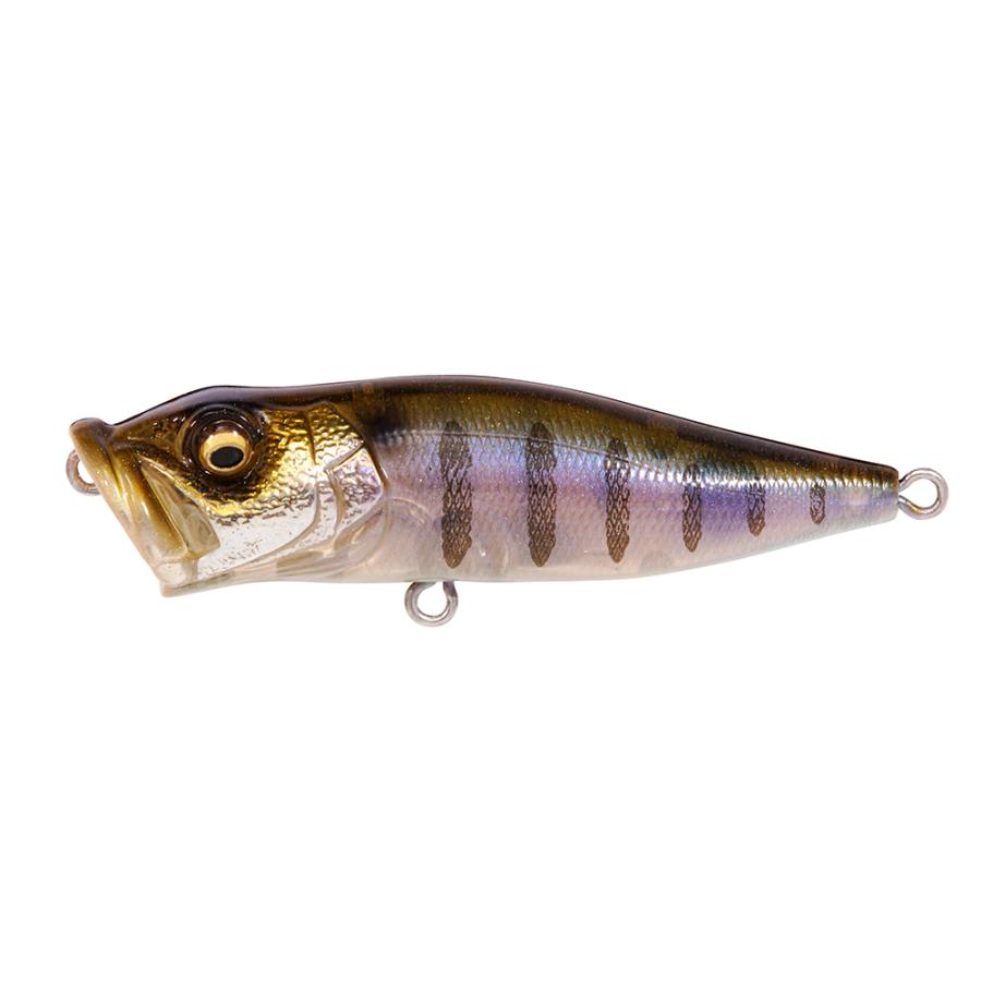MEGABASS POP-X