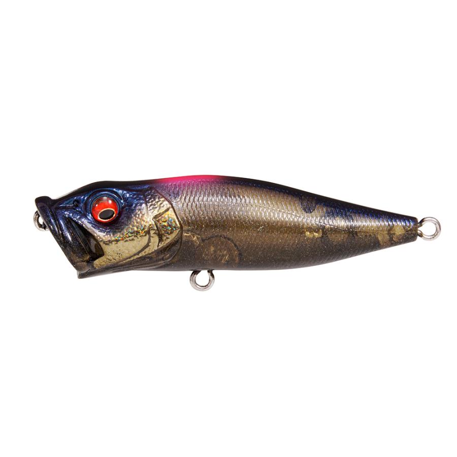 MEGABASS POP-X