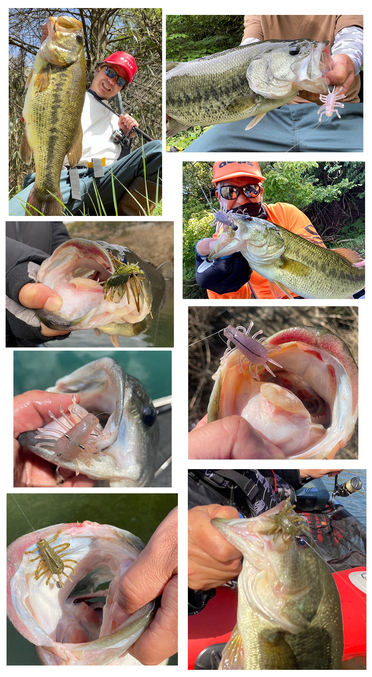 DEPS Wiggle Bug