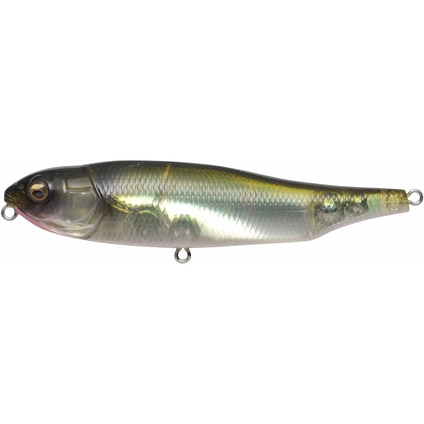 MEGABASS GIANT DOG-X