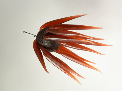 HIDEUP COIKE FISH Elastomer  M SIZE