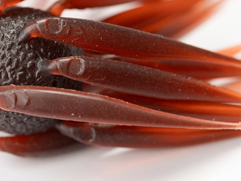 HIDEUP COIKE FISH Elastomer  M SIZE